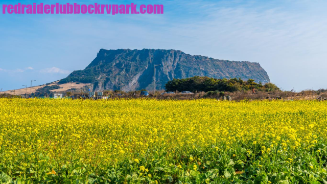Kota Wisata Korea Selatan Yang Bisa Kalian Kunjungi Saat Sedang Liburan!