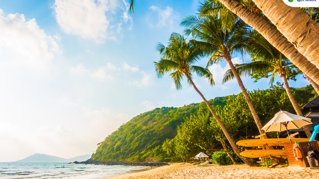 Pulau Tropis Paling Indah